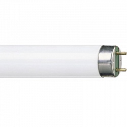 Лампа Philips TL-D 36W/54-765 G13